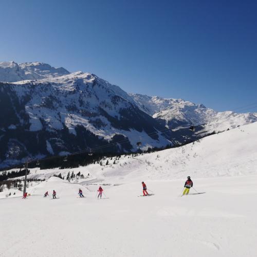 Skitage 8