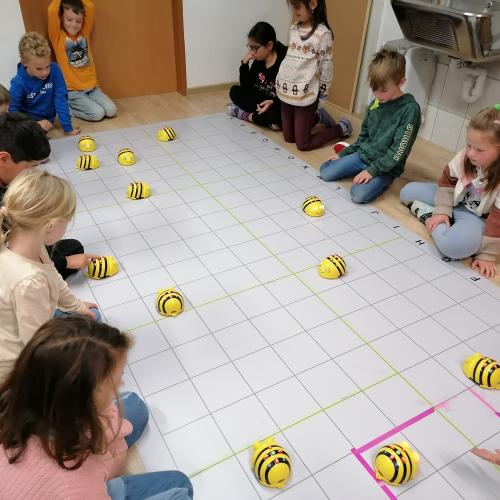 Bee Bot 6