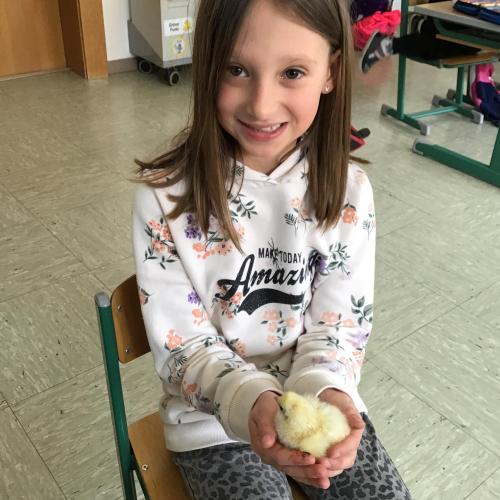 Kind hält Küken 1