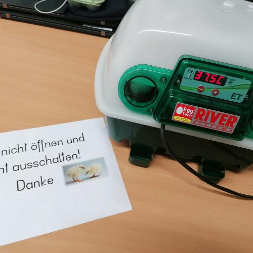 Inkubator 2