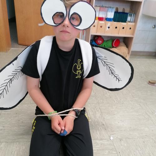 Fliege