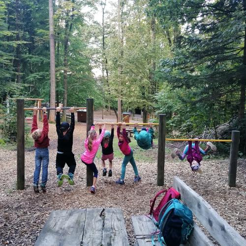 Kinder spielen beim Waldspielplatz