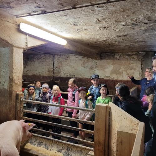 Kinder im Schweinestall