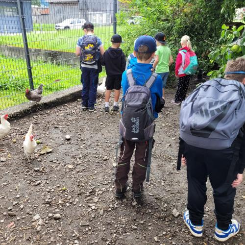 Hennen mit Kinder