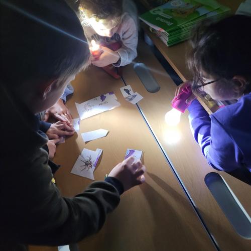 Kinder lösen Rätsel im Dunklen mit Taschenlampen 3