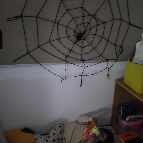 Kind liest unter Spinnennetz