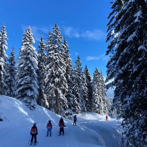 Kinder auf der Piste  12
