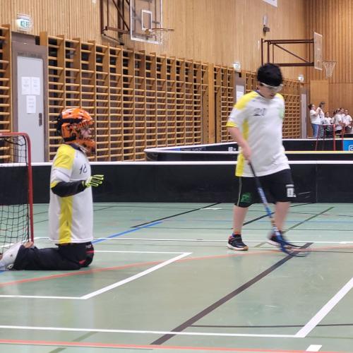 Kinder spielen Floorball