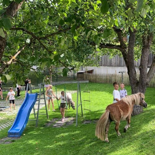 Kinder mit Pony