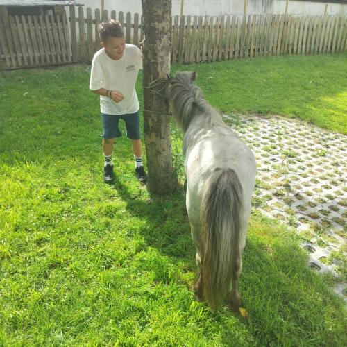 Kind mit Pony